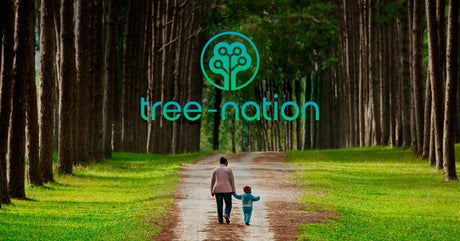 Unser Engagement für die Umwelt - E-Streetbikes