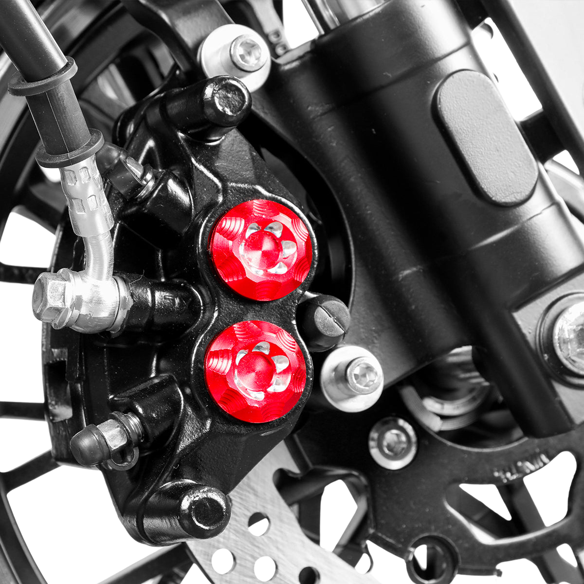 E-Chopper Aero Bremsanlage