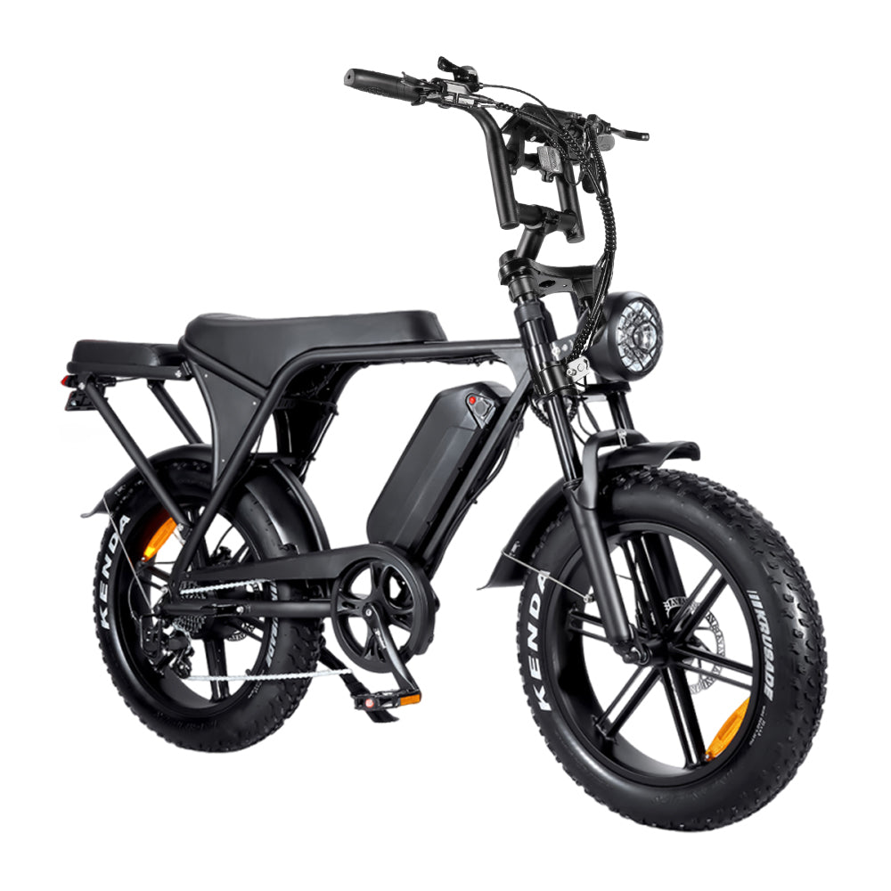 E-Fatbike V8