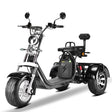 E-Trike 45 km/h 2000W schwarz - E-Streetbikes