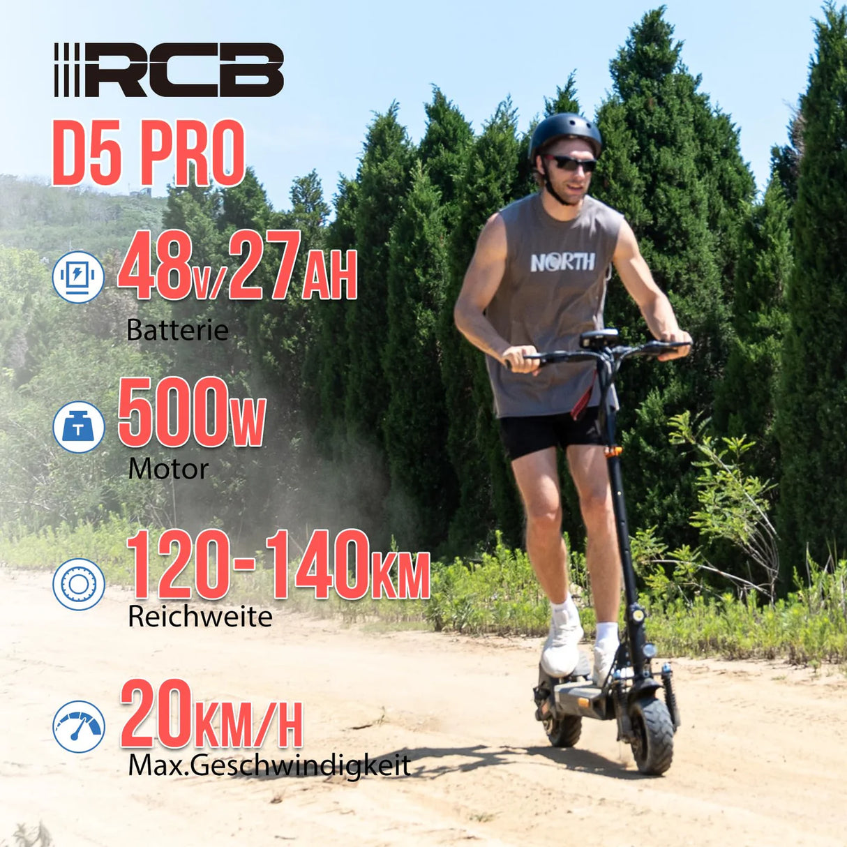 rcb d5 pro e-scooter details