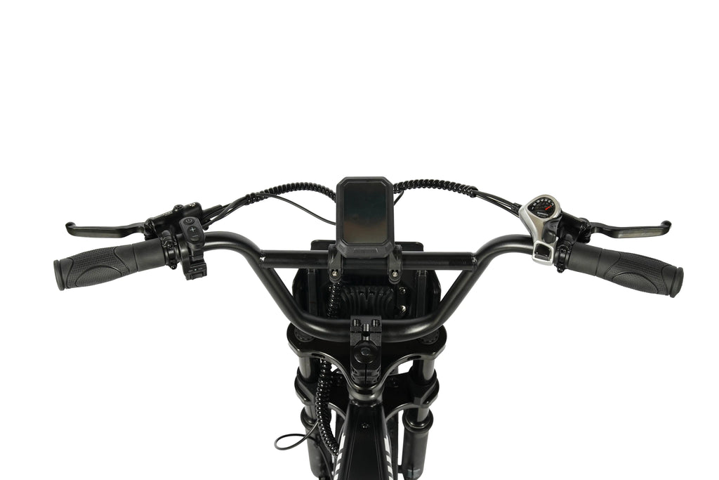 E-Fatbike Rockbike Rumble